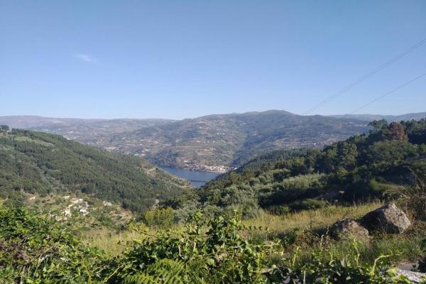 Bouwgrond te koop in Portugal - Porto - Baio - Gove -  40.000