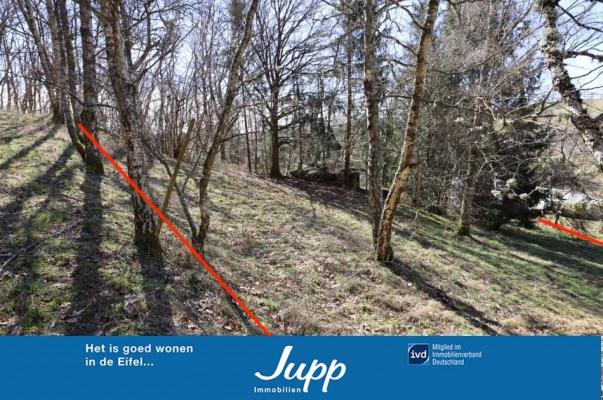 Building plot for sale in Germany - Rheinland-Pfalz - Eifel - Mehren -  32.376