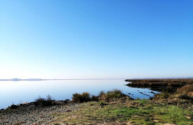 Portugal - Aveiro - Ovar - Vlega