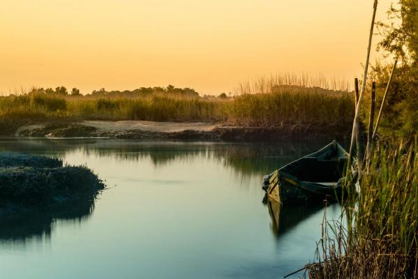 Portugal - Aveiro - Ovar - Vlega