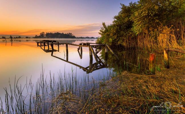 Portugal - Aveiro - Ovar - Vlega