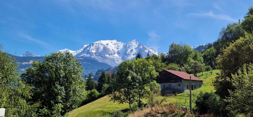 Frankrijk - Rhne-Alpen - 74 - Haute-Savoie - Combloux
