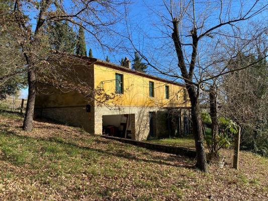 (Woon)boerderij te koop in Itali - Toscane - Montescudiao -  350.000