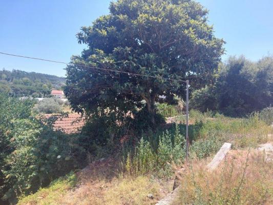 Portugal ~ Leiria ~ Pombal - Bouwgrond