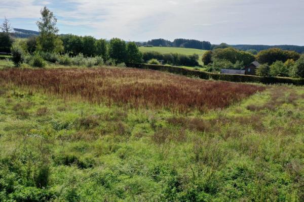 Belgi ~ Walloni ~ Prov. Luik / Eifel - Bouwgrond