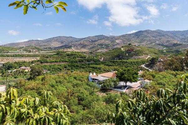 Spanje ~ Andalusi ~ Mlaga ~ Costa del Sol ~ Kust - Landgoed Finca