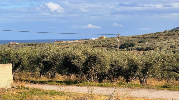 Griekenland ~ Kreta - Grond