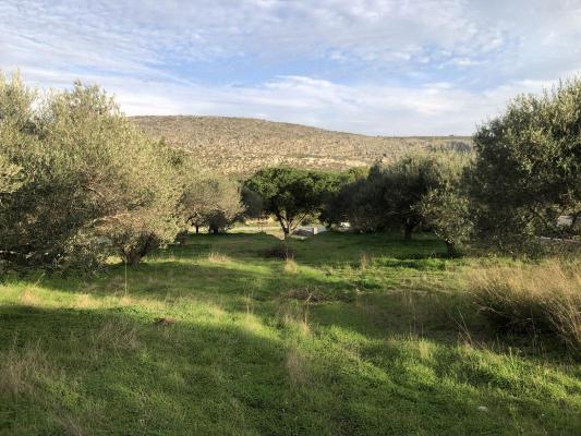 Terrain zu verkaufen in Griechenland - Crete (Kreta) - ANOPOLI HERAKLION -  110.000