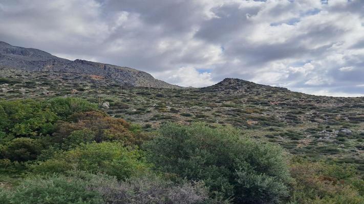 Griechenland ~ Crete (Kreta) - Terrain