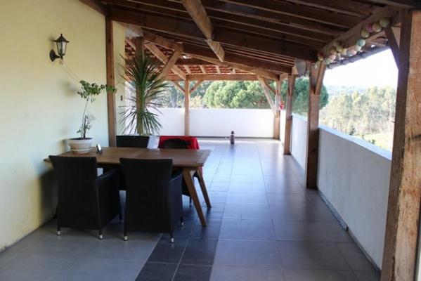 Portugal - Coimbra - Tbua - Pinheiro de Coja