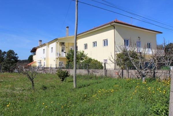 Portugal - Coimbra - Tbua - Pinheiro de Coja