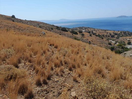 Grond te koop in Griekenland - Kreta - Saktouria -  500.000