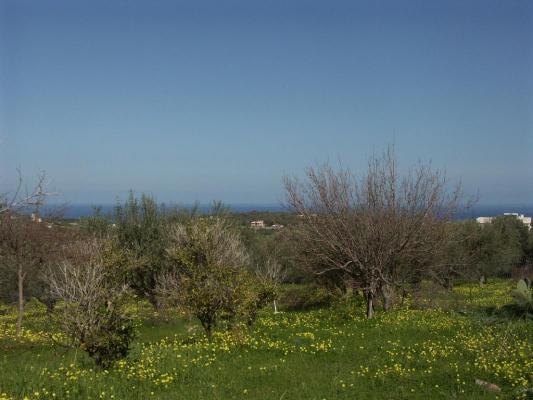 Villa for sale in Greece - Crete (Kreta) - Adele -  630.000