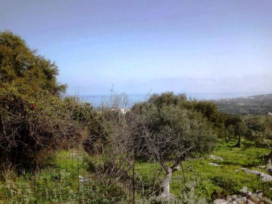 Grond te koop in Griekenland - Kreta - Viran Episkopi -  220.000