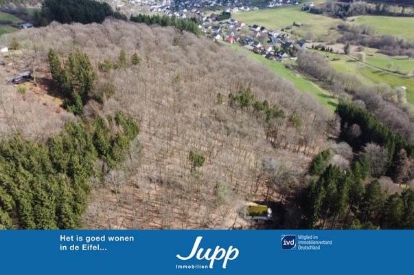 Germany ~ Rheinland-Pfalz ~ Eifel - Building plot
