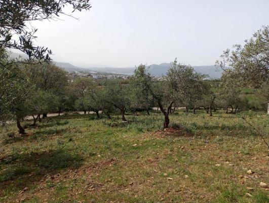 Griechenland ~ Crete (Kreta) - Terrain