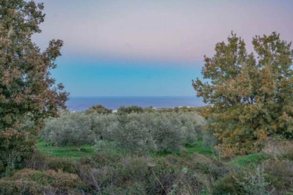 Griekenland - Kreta - Gallos