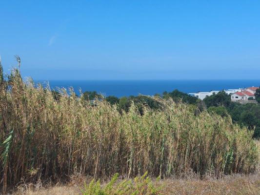 Portugal ~ Lissabon ~ Lourinh - Bouwgrond