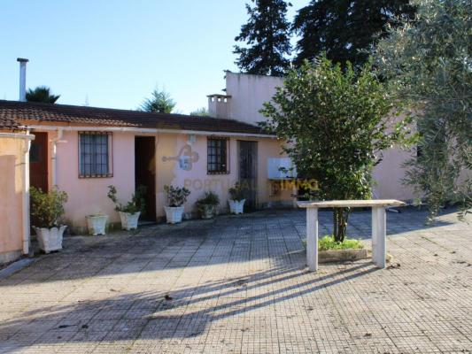 Estate for sale in Portugal - Santarm - Ferreira do Zzere - Dornes -  215.000