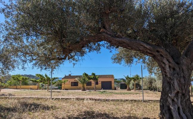(Woon)boerderij te koop in Spanje - Cataloni - Tarragona - Mora La Nova -  195.000