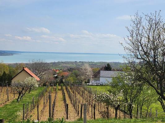 Project te koop in Hongarije - Pannonia (West) - Balaton - Balatonalmadi -  595.000