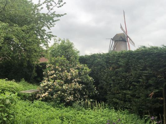 Belgi - Vlaanderen - Antwerpen - Hoogstraten
