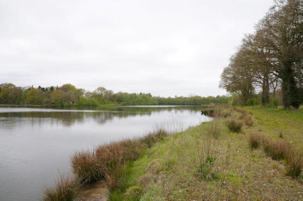 Duitsland ~ Nedersachsen ~ Ost-Friesland - (Woon)boerderij