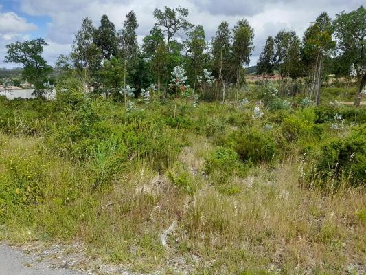 Portugal ~ Leiria - Building plot