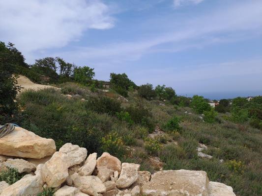 Griekenland ~ Kreta - Grond