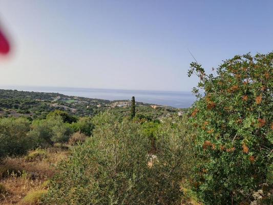 Griekenland ~ Kreta - Grond