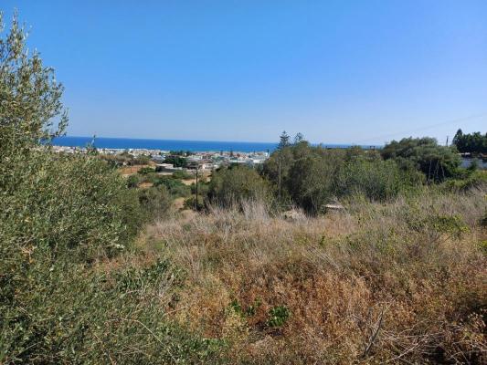 Griekenland ~ Kreta - Grond