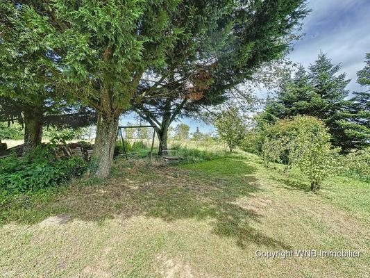 Frankrijk - Champagne-Ardenne - 52 - Haute-Marne - LAFERTE SUR AMANCE