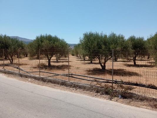 Griekenland ~ Kreta - Grond