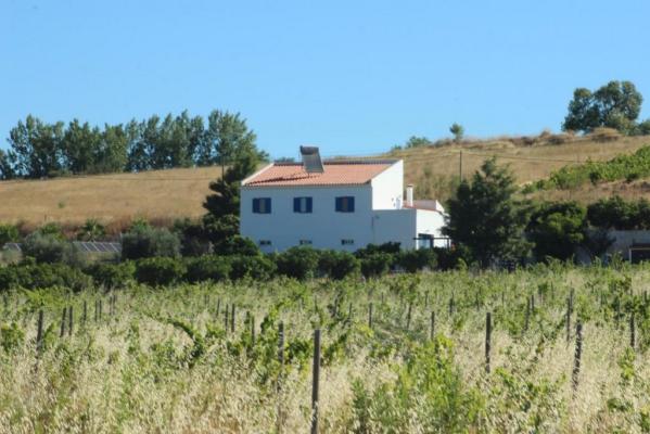 Portugal ~ Alentejo ~ Beja ~ Vidigueira - (Woon)boerderij