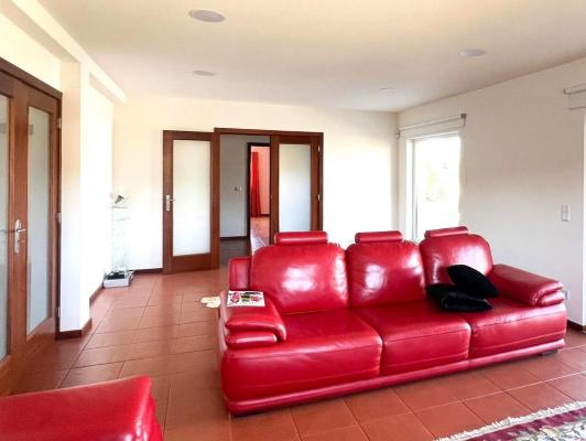 Portugal&nbsp;-&nbsp;Viseu&nbsp;-&nbsp;Oliveira&nbsp;de&nbsp;Frades&nbsp;-&nbsp;S�o&nbsp;Vicente&nbsp;de&nbsp;Laf�es