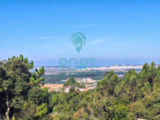 Portugal - Leiria - Alcobaa - Alfeizero