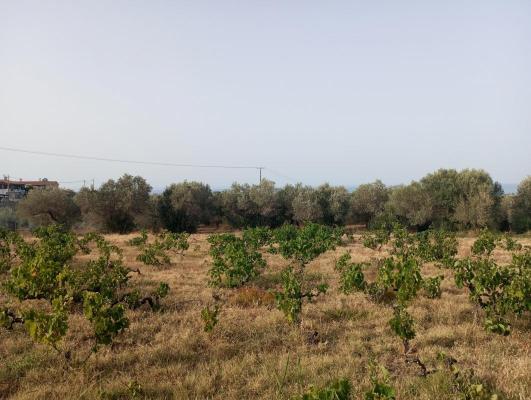Griekenland ~ Kreta - Grond