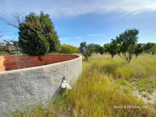 Portugal&nbsp;-&nbsp;Leiria&nbsp;-&nbsp;Leiria&nbsp;-&nbsp;Coimbr�o