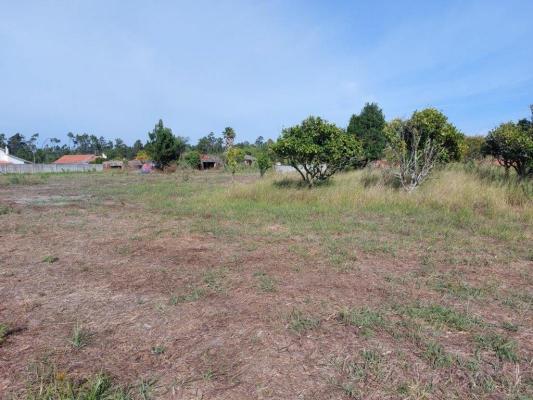 Portugal&nbsp;-&nbsp;Leiria&nbsp;-&nbsp;Leiria&nbsp;-&nbsp;Coimbr�o