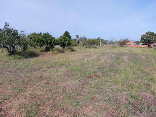 Portugal&nbsp;-&nbsp;Leiria&nbsp;-&nbsp;Leiria&nbsp;-&nbsp;Coimbr�o