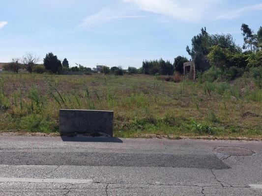 Portugal&nbsp;-&nbsp;Leiria&nbsp;-&nbsp;Leiria&nbsp;-&nbsp;Coimbr�o