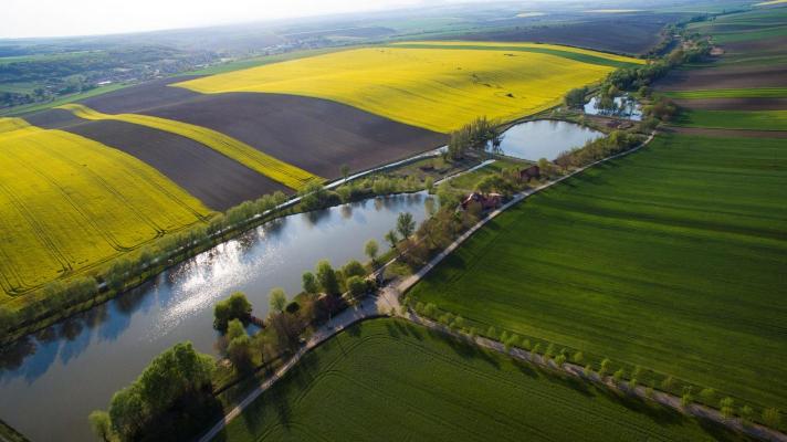 Hongarije ~ Pannonia (West) ~ Baranya (Pcs) - Overige
