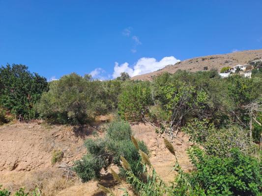 Griekenland ~ Kreta - Grond