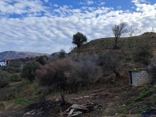 Griekenland ~ Kreta - Grond