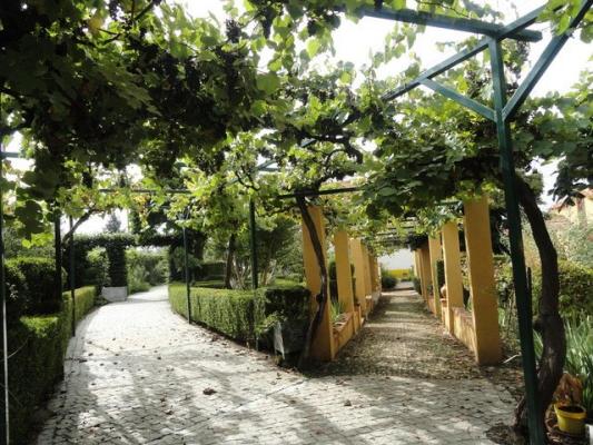 Portugal - Coimbra - Tbua - Mouronho