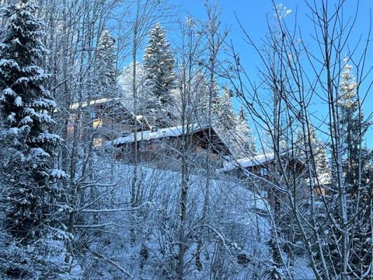 Chalet te koop in Oostenrijk - Salzburgerland - Wagrain -  1.200.000