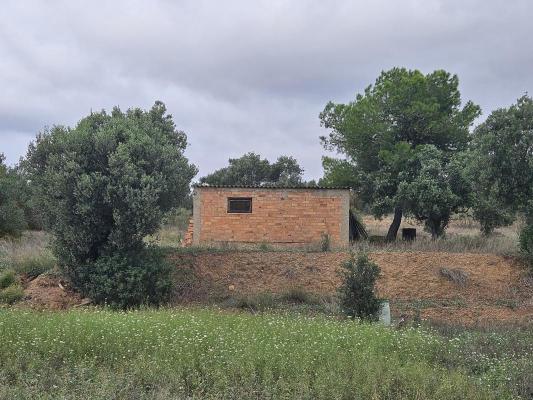 Spanje - Cataloni - Tarragona - Flix