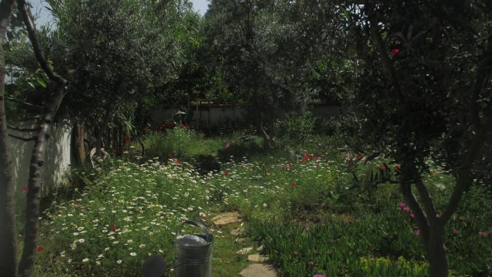 Turkije&nbsp;-&nbsp;Turkse&nbsp;Riviera&nbsp;-&nbsp;Antalya&nbsp;-&nbsp;D�şemealtı