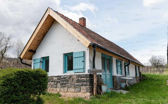 Hongarije ~ West & Balatonmeer ~ Balaton - Vakantiehuis