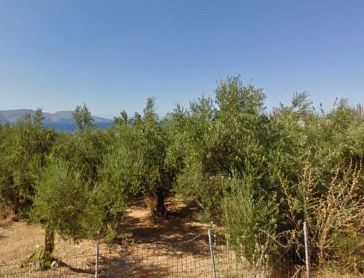 Griekenland ~ Kreta - Grond